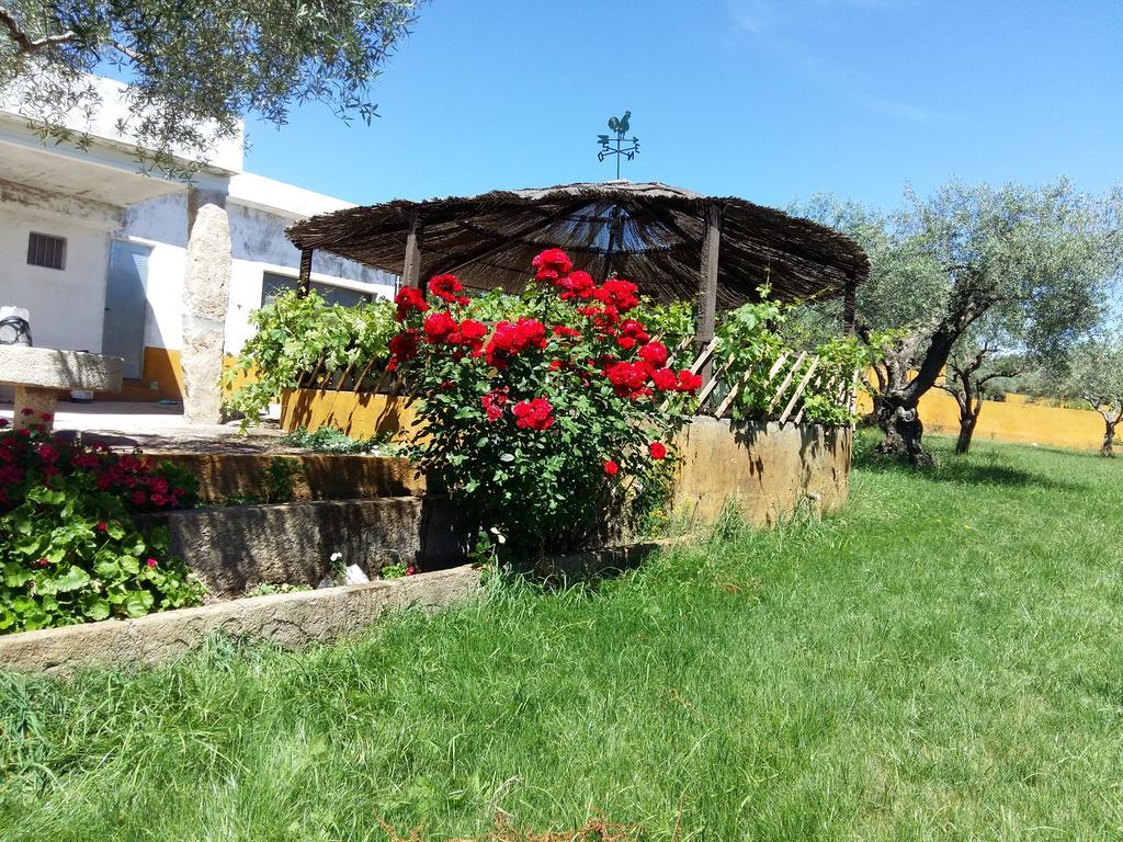 Quinta Da Mina Villa Monsanto Exterior photo